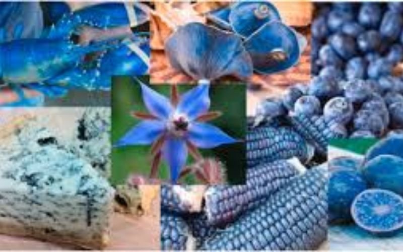 Blue Foods: Nutritious, Unique, and Naturally Beautiful untitled design (34)