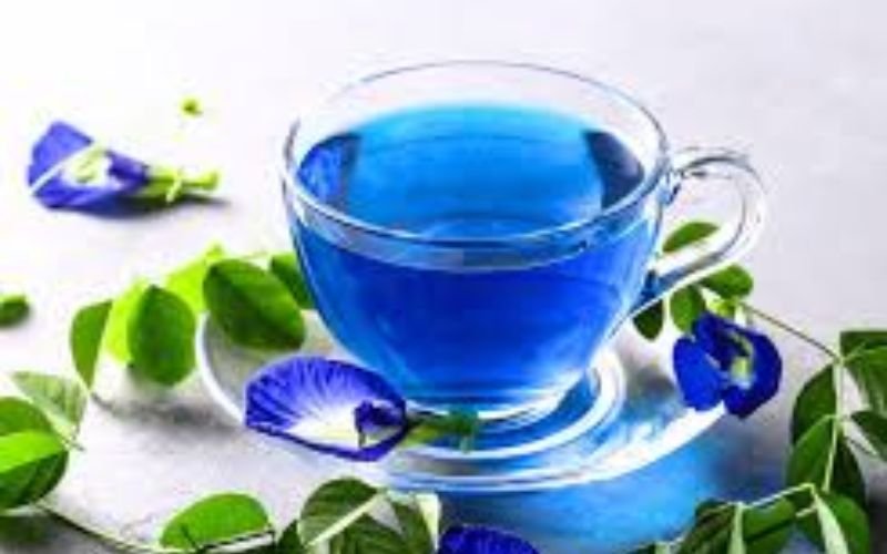 Blue Foods: Nutritious, Unique, and Naturally Beautiful untitled design (38)